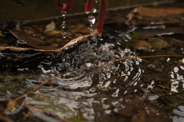 Kalové čerpadlo je ideální pro odčerpání vody